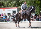 Pferd International 200
